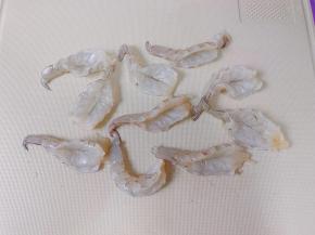 在虾背划一刀，抽出虾线