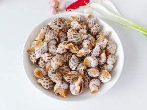 挑选新鲜的花螺